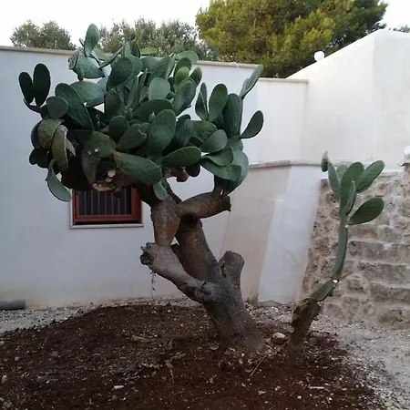 Trullo Apulia Villa